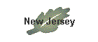 New Jersey